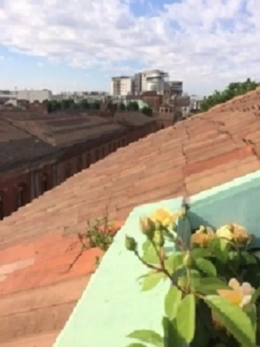 Mansardina Boheme Tra Il Duomo E L'Universita Milan 0*,